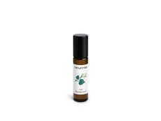 Lípa deodorant Naturinka