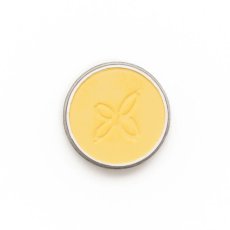 Oční stíny 106 Bouton d’Or - matné tmavě žluté 2,5 g Boho