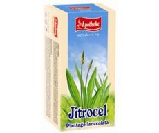 Jitrocel čaj 20 x 1,5g APOTHEKE