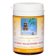 Pevnost palácového pilíře 201 TCM