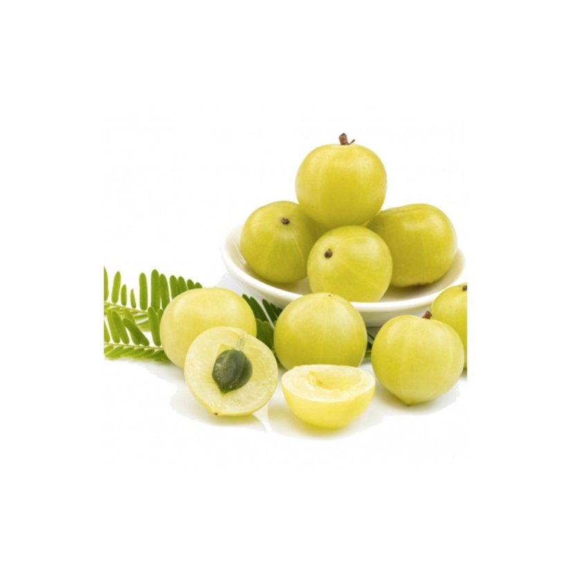 Amla prášek 100 g BEZOBAL