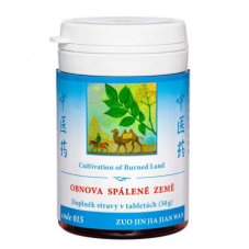 Obnova spálené země 30 g 015 TCM