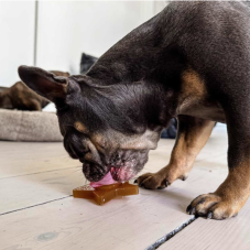 Hračka pro psy - Hvězdička