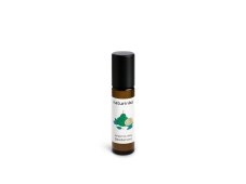 Bergamot, Máta deodorant Naturinka
