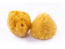 Mořská houba na obličej 7-9 cm (L) Caribbean Sun