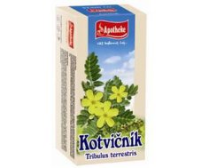 Kotvičník čaj 20 x 1,5g APOTHEKE