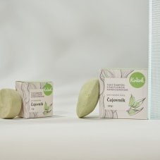 Tuhý šampon s kondicionérem pro mastné vlasy Čajovník Kvitok