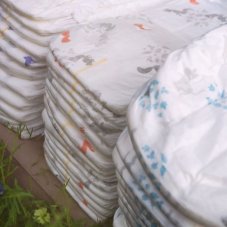 Pleny Midi 4-9 kg Moltex Pure & Nature