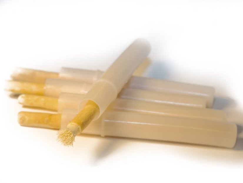 Miswak Přírodní kartáček Natural + pouzdro Siwak