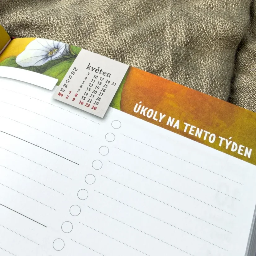 Inspirační diář Slon 2027 Duhová kočka