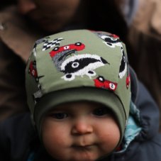 Merino kukla jezevec závodník Dupeto