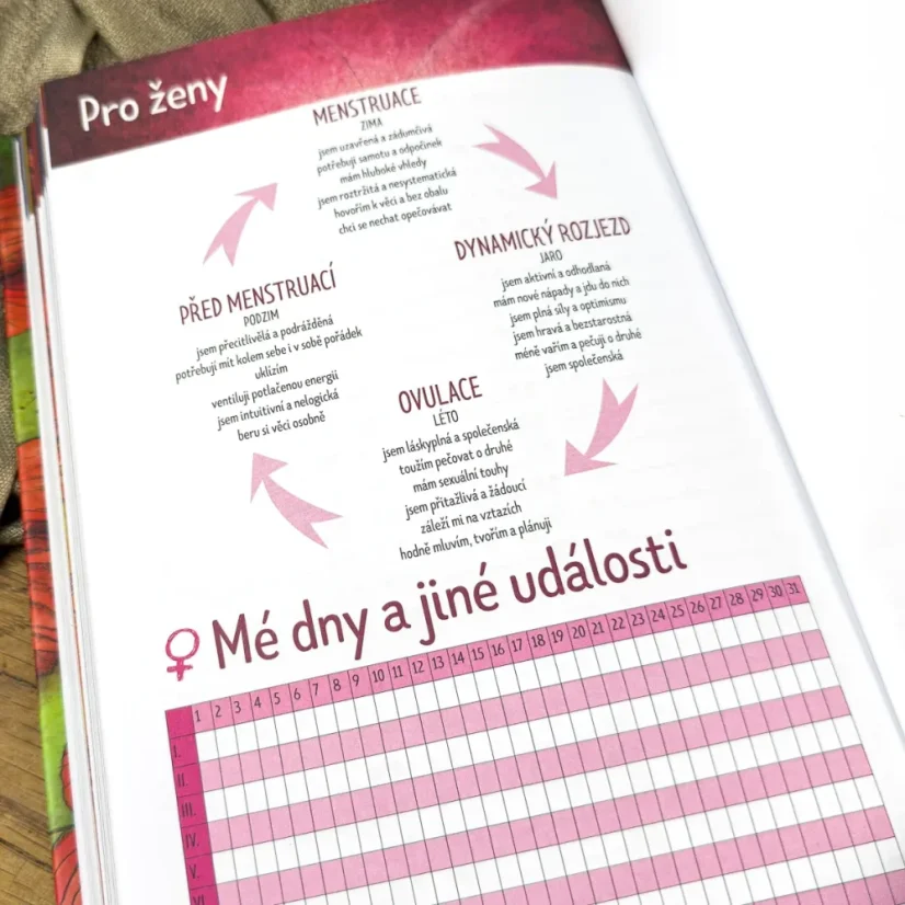 Inspirační diář Slon 2027 Duhová kočka